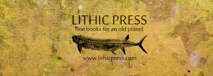 LP Full Website Image